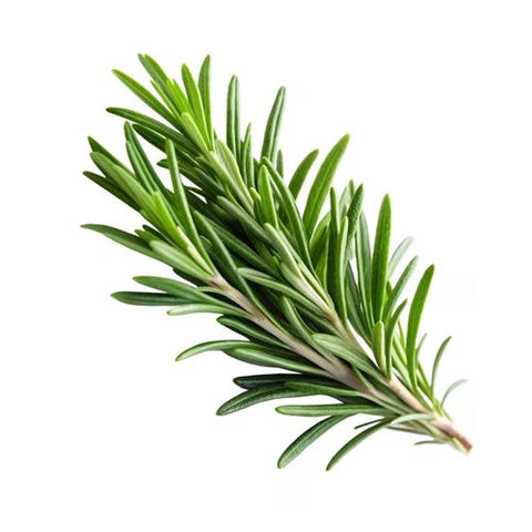 Rosemary