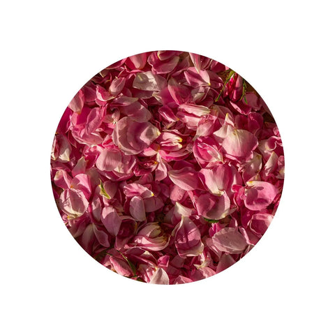 Rose Exosomes
